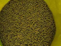 Vindem mincare pentru sinsila granule de 2.5mm produs in Ungaria 16lei(chinchila,sinsila,шиншила) — zdjęcie 2