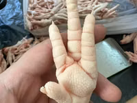 Куриные лапы плюсны с экспортам в китай — عکس 2