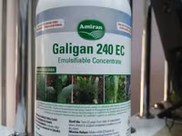 Galigan 240ec Selective Herbicide For Onions 1l — 照片 4
