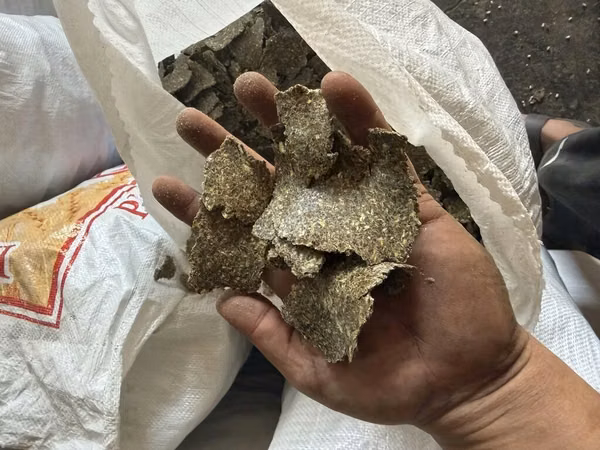 Продаю сафлоровый жмых, Джаны Пахта