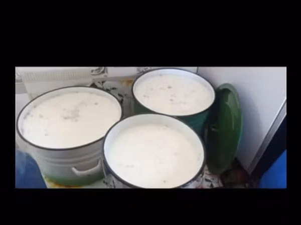 Кумыс из Нарына — свежий, домашний. - Натуральный напиток из