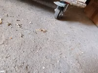 Quşxana içinin 16 xanasıda var təkərlidi hara isdəsən apara — zdjęcie 2