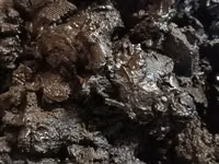Fus (drojde) de la ulei 3 lei/kg — foto 3