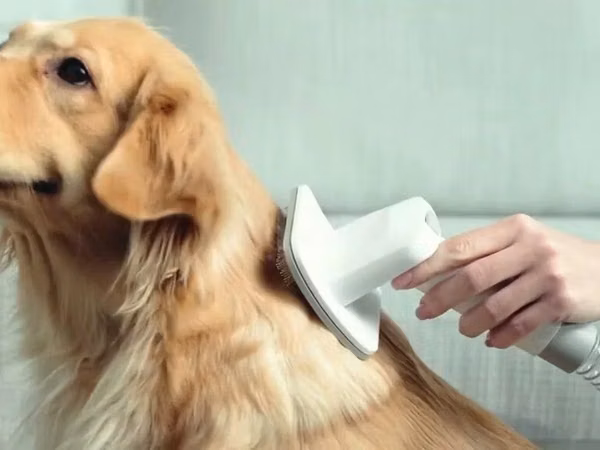 Petkit Pet Grooming Vacuum Kit 5-in-1 (LM4)Petkit Pet Grooming Vacuum
