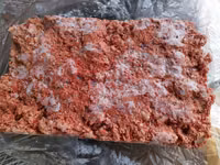 Корм для собак,куриц, свиней,кошек,уток и.т.д дробленые кости броллера — تصویر 2