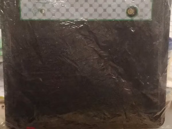 Incubator Chiken Egg
