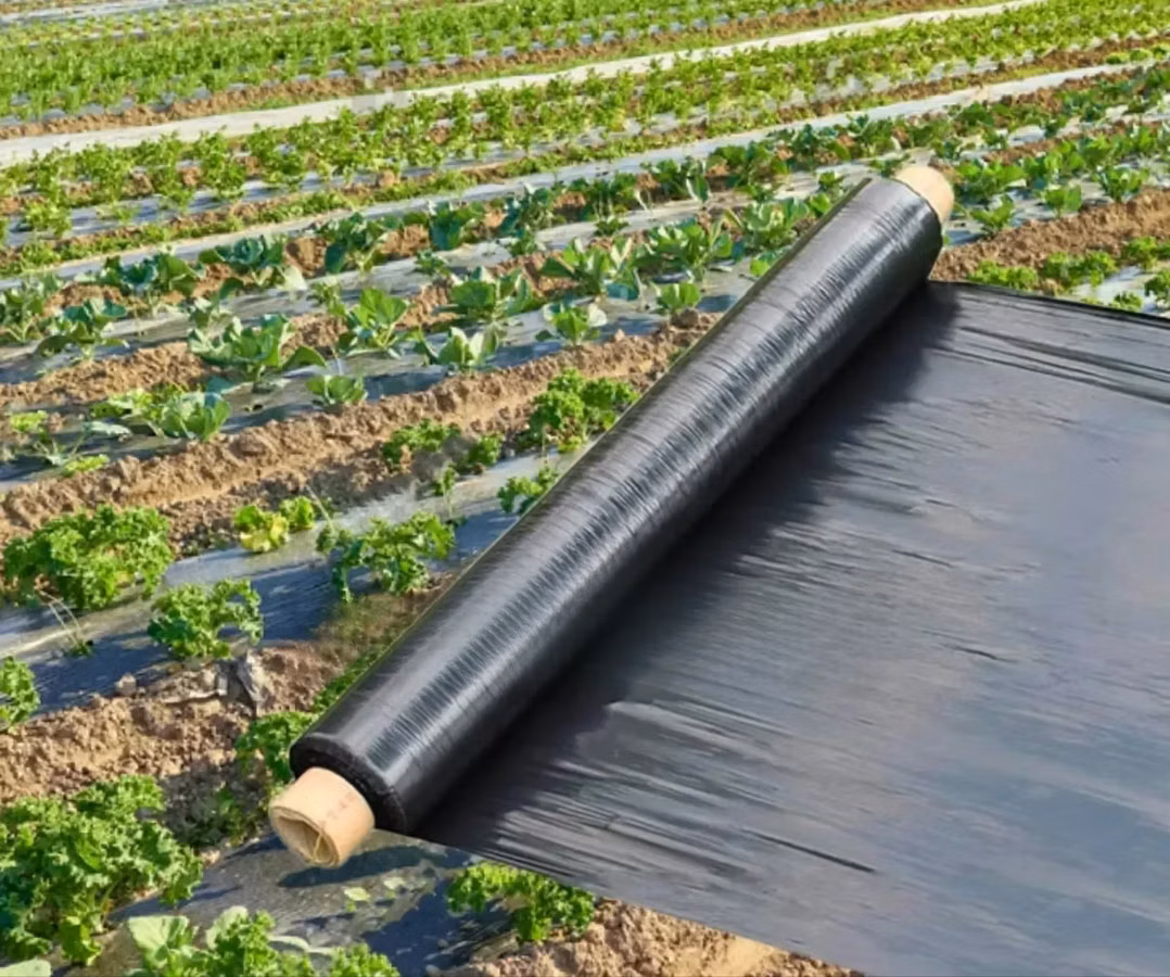 Mulching Net