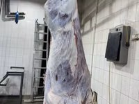 Молодняк, коровы1,2 кат. полутуши охл. — फ़ोटो 2