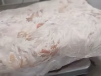 Котлетное мясо свинины (тримминг) — عکس 3
