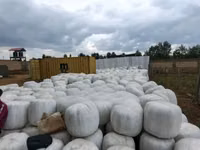 Full Corn Silage — foto 2