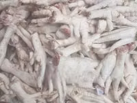 Chicken Feet — fotografija 2