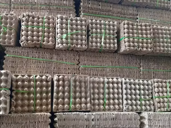 Brown Paper Tray