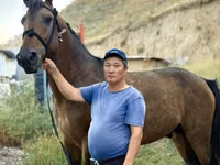 حصان, French Trotter — الصورة 1