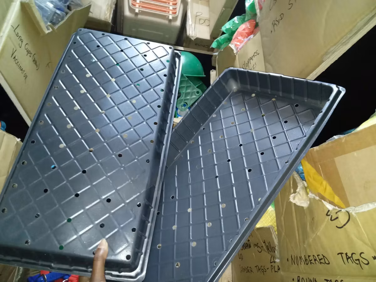 Practical Seedling Trays With Holes - With Holes