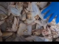 Куриное крыло зам., 3 фаланги — புகைப்படம் 3
