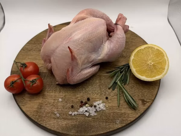 Куриные кишки .  любой регион РФ
