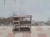 Qəfəs satılır 70 azn
hün. 98 sm
eni 60 sm
uz. 1 m — φωτογραφία 4