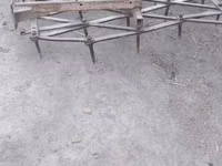 Kambing jantan, Sheep — foto 3