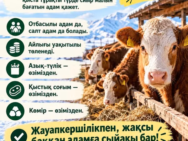 Cow, Hereford — Kazakhstan