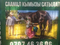 Кымыз из Кочкорского района - Натуральный саамал кымыз с высокогорных — foto 4