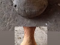 Подкова тағашы коваль — ფოტო 2