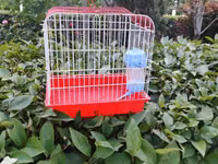 Qırmızı-ağ quş qəfəsi - Material: metal barmaqlıqlar və plastik — φωτογραφία 2
