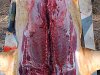 Vind carne de porc de casa crescut cu resturi de la gradinite — फ़ोटो 1