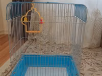 Quş qəfəsi – orta ölçü - Material: metal barmaqlaqları, möhkəm — foto 3