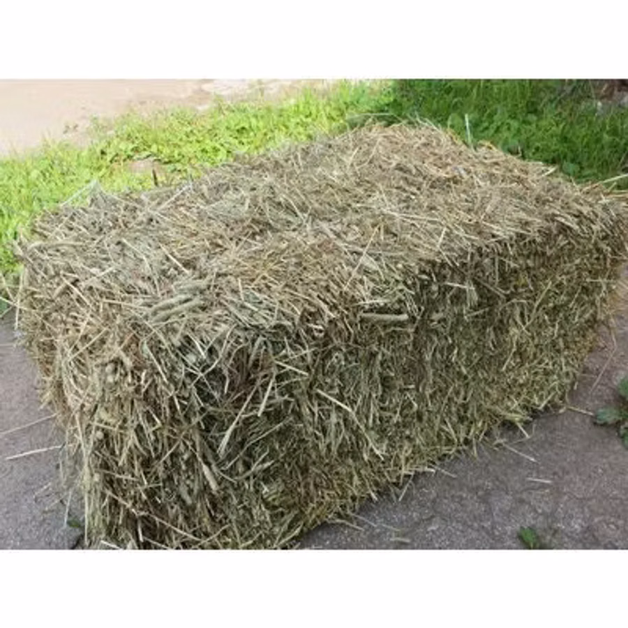 Сено