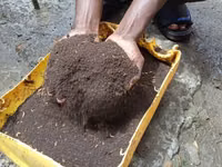 Black Soldier Fly Frass. ( Organic Fertilizer ) 25 KGS — foto 1