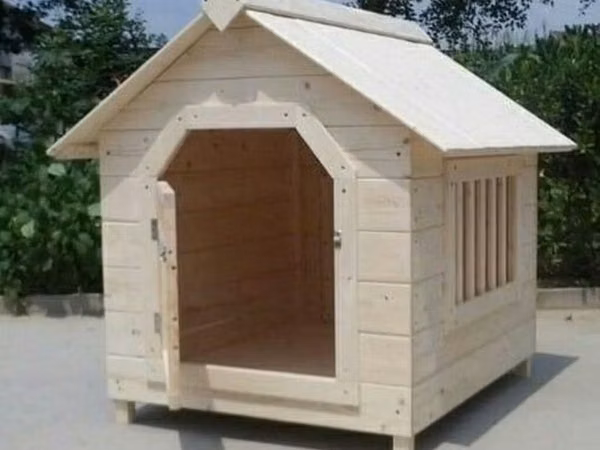 Taxta it evi - Material: Təhlükəsiz, təbii ağac taxtalardan yığılıb