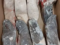 Говядина язык замороженный — 1-сурет