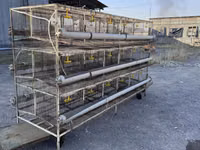 Продаю клетки для несушек многоярусные на 144 штук курей. Размер — φωτογραφία 1