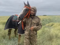 Koń, Anglo-Arabian — zdjęcie 2
