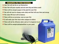 Organic Fertilizer Super Gro — 照片 3