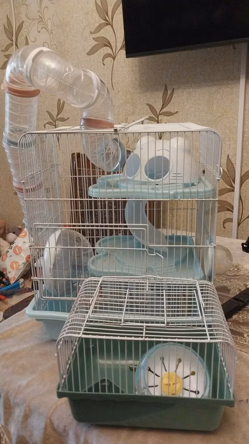 Hamster üçün iki qəfəs dəsti - Böyük modul qəfəs: çoxmərtəbəli