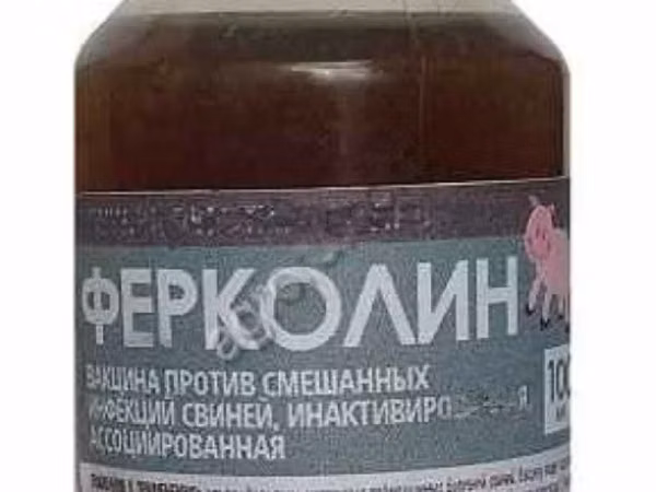ФЕРКОЛИН для повышения иммунитета у свиней и поросят