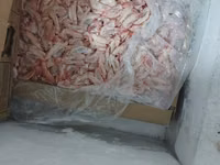 Hər kəsə salam satişda itler űçűn yemlər var farş 0.30 qəpik. bud — φωτογραφία 1