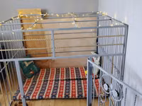 Metaldan geniş ev tipi it qəfəsi / playpen - Material: qalın metal — φωτογραφία 1