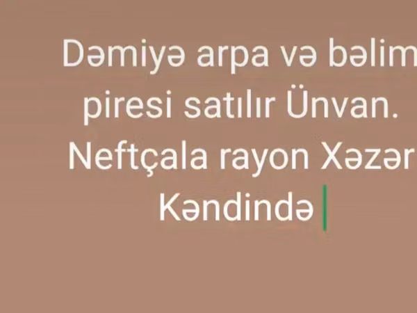 Məhsul: Dəmyə arpa və bələm piresi (yabanı ot piresi/biomass) Təsvir