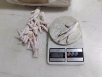 Chickens — ছবি 3