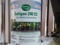 Galigan 240ec Selective Herbicide For Onions 1l — 照片 2