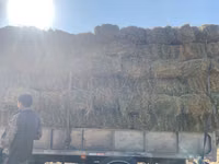 Продаю клевер чоп сатылат Сено в тюках (прямоугольные кипы) - — foto 2