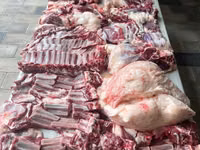 የጎትት አውራ በግ, Sheep — ፎቶ 5