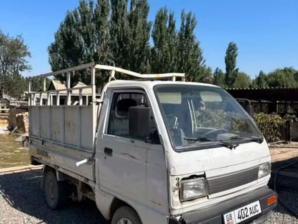 Bull, Cattle — Kyrgyzstan