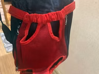 Balaca it/pişik üçün ön tərəfdən daşıma çantası (pet carrier) - — fotografija 3