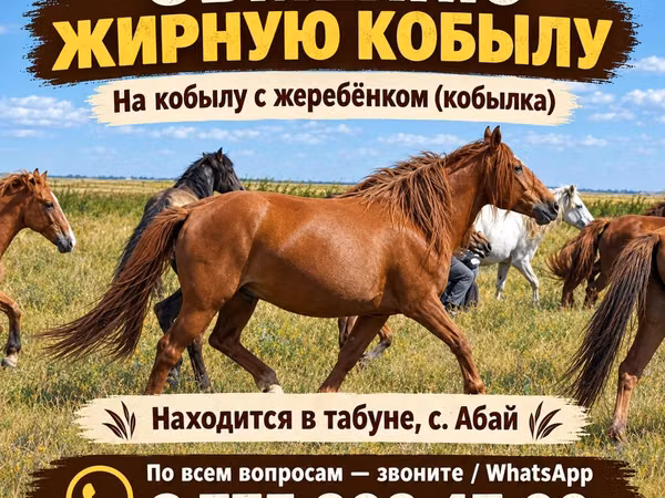 Модиён, Аспҳо — Қазоқистон
