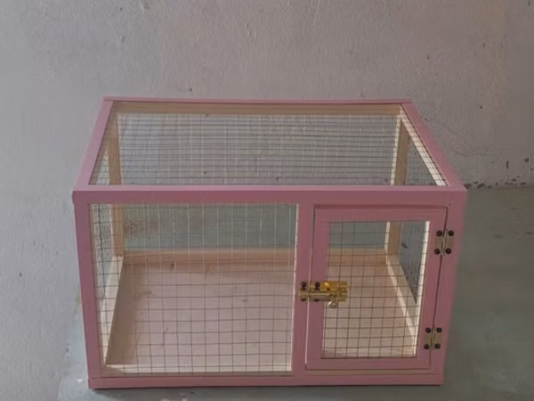 Dovşan,hamster,şinşila,bildirçin,cücə,xamyak,pişik,quş ve s kimi ev