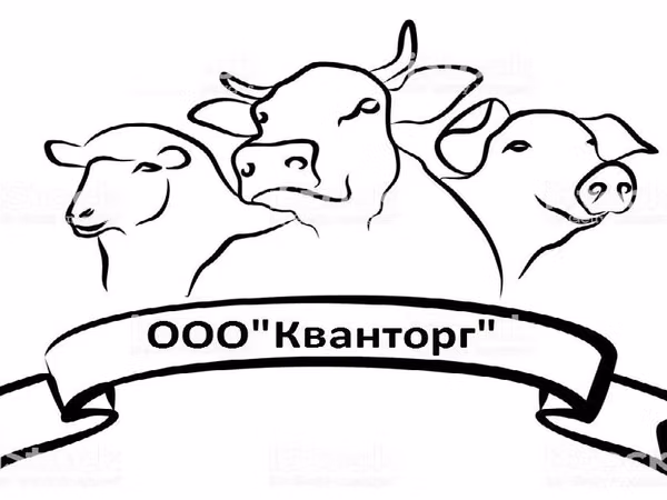 Говяжья аорта