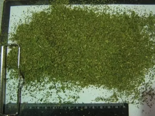 Заменитель молочного жира oilblend